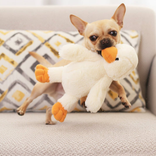 Mr.Ducky Super Plushy Dog Toys
