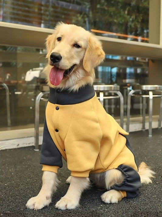 Two - Tone Dog Jacket - Family & Friends Pet Company